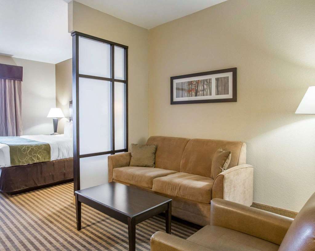Comfort Suites Mcdonough Atlanta South Habitación foto